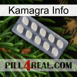 Kamagra Info